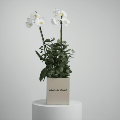 The one orchid plant
